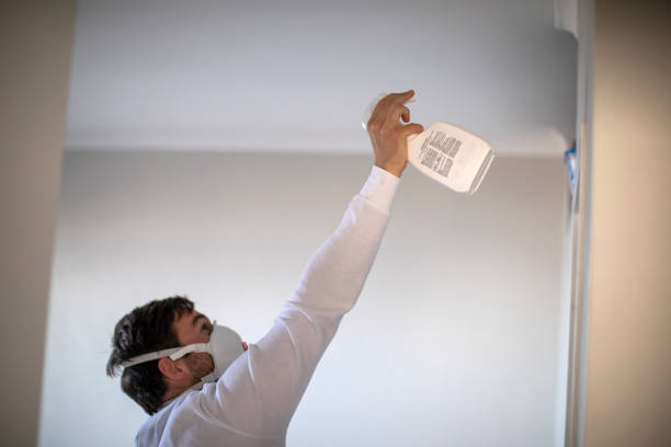 Best Office Mold Removal Services  in Leon Valley, TX