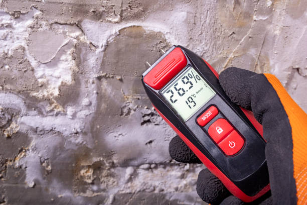 Best Mold Testing  in Leon Valley, TX
